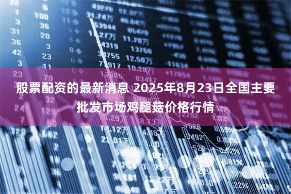 股票配资的最新消息 2025年8月23日全国主要批发市场鸡腿菇价格行情